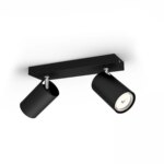 Lámpara Doble de Techo Philips Kosipo Blanca