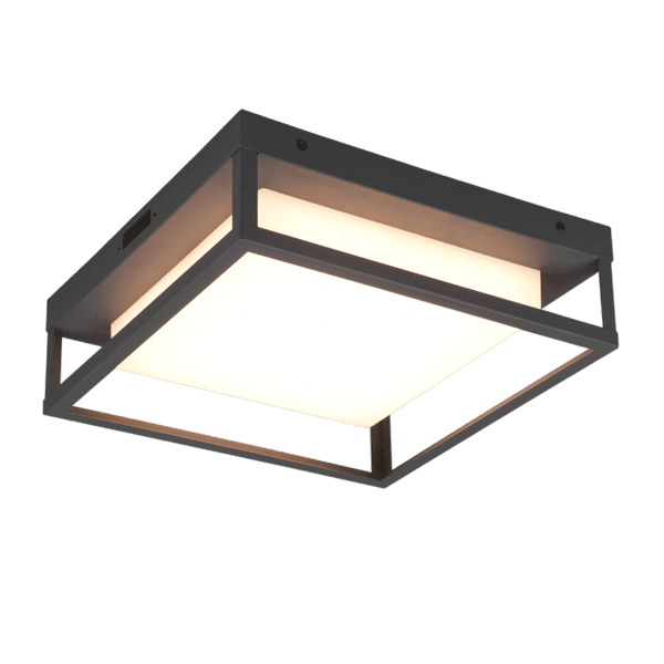 Lámpara de Techo WITHAM LED Antracita - Eficiencia Energética y Estilo Moderno IP44 - Color: Antracita - Material: Metal - Tipo de Luz: LED - Lúmenes: 1550 - Temperatura: 2300+3000+4000K